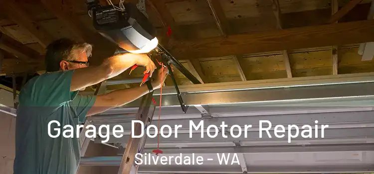  Garage Door Motor Repair Silverdale - WA