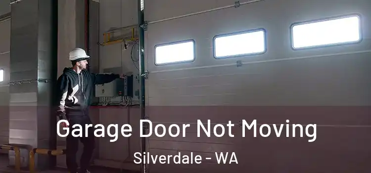  Garage Door Not Moving Silverdale - WA