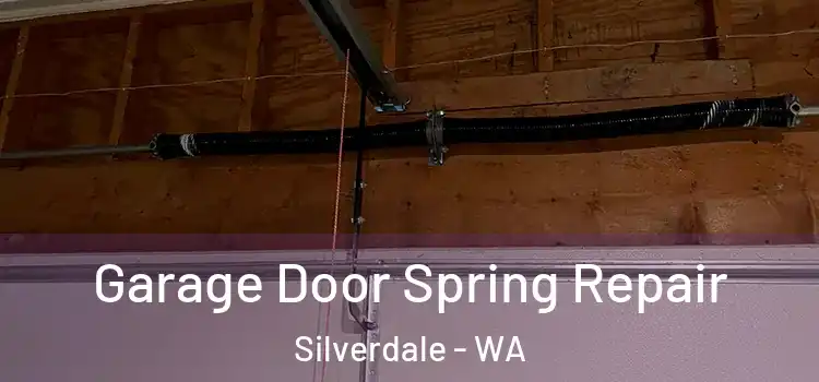  Garage Door Spring Repair Silverdale - WA