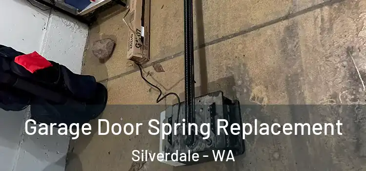  Garage Door Spring Replacement Silverdale - WA