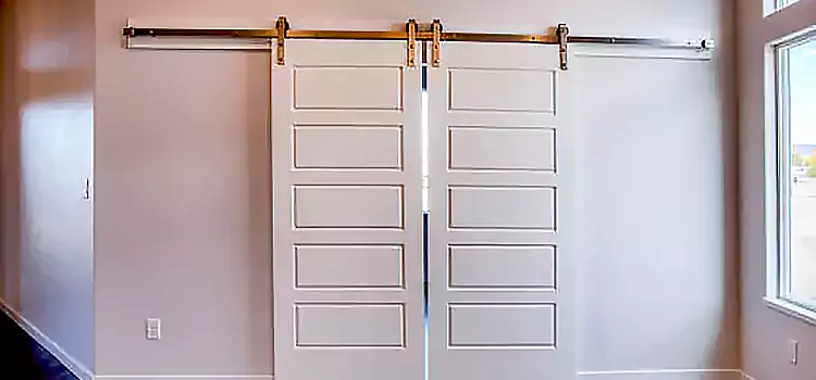 Glass Barn Door with Installation Hardware Kit Silverdale